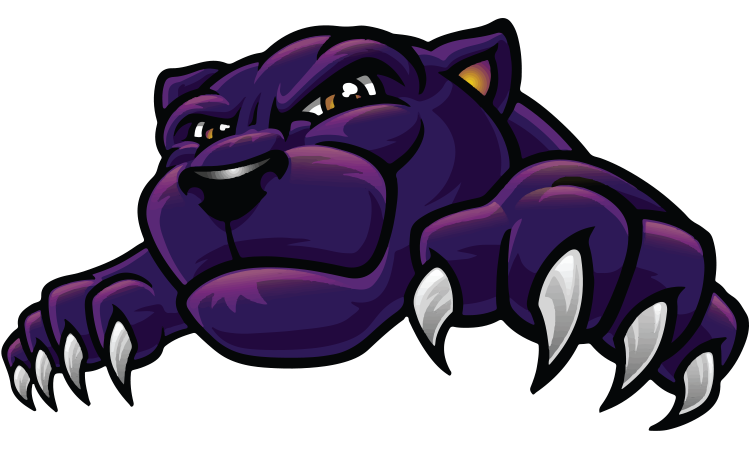 purple panther football logos