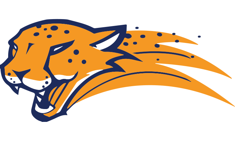 Metro Cheetahs - Deaf Sports Logos
