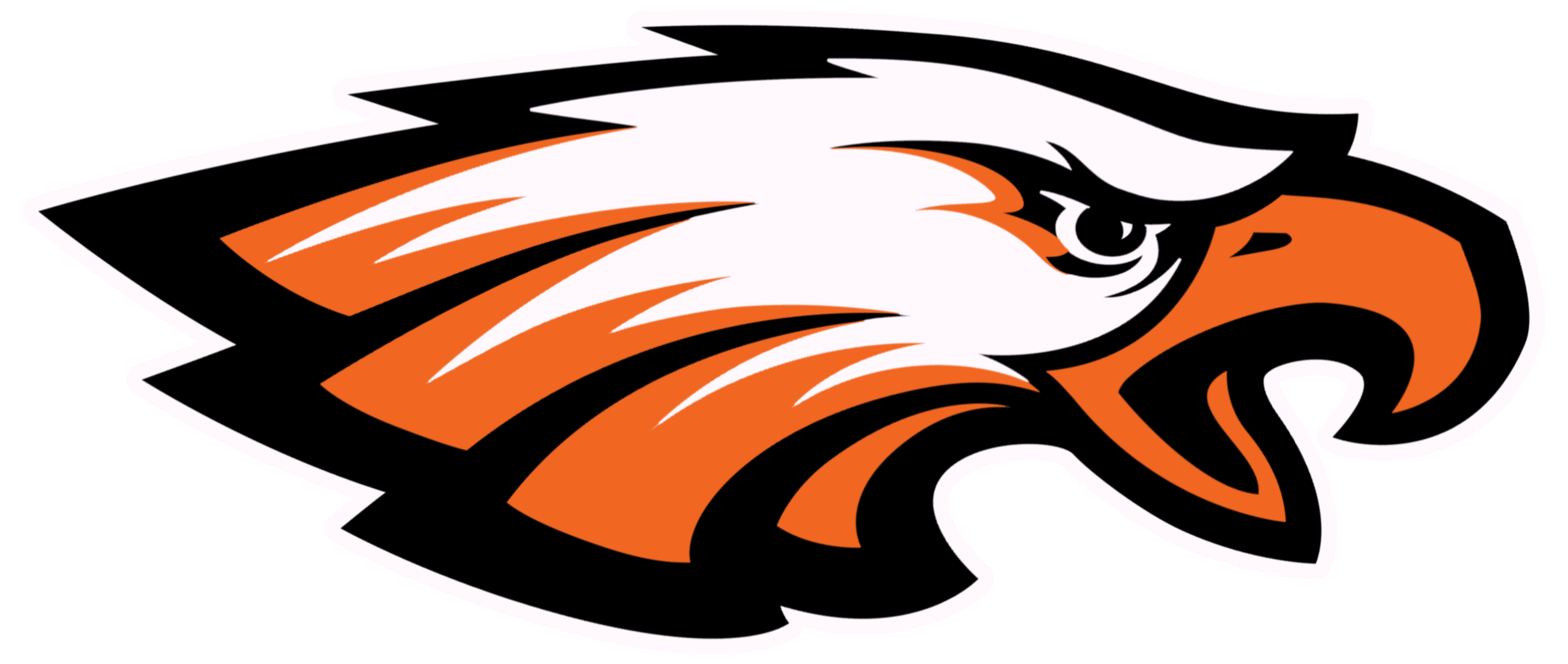 Eagle Logo Big-new