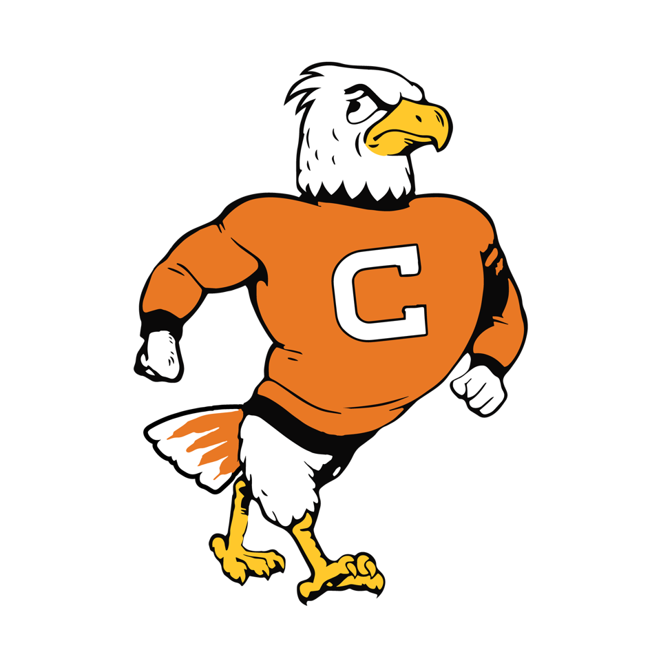 Eagle Mascot-new
